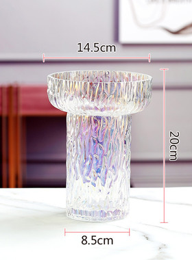 漏斗ins风网红极冻冰川花瓶玻璃透明插花器客厅餐桌玄关摆件装饰