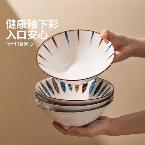 摩登主妇釉下彩拉面碗家用2026新款高级感汤面大碗斗笠面条碗餐具 - 图3