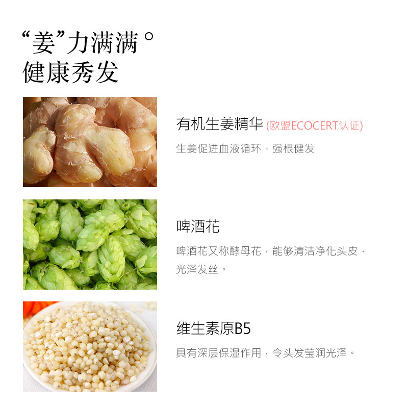 蜂花正品无硅油洗护套装生姜护发素 蜂花居家日用洗护套装