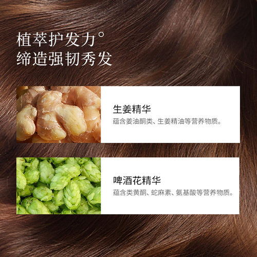 蜂花洗发水套装无硅油生姜啤酒花强韧亮泽男女洗发露去油丰盈蓬松 - 图2