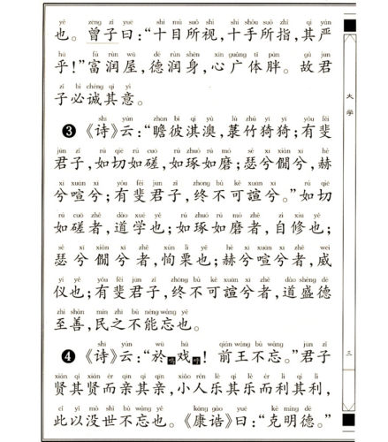 学庸论语大字注音版王财贵书小学生课外阅读早读本国学经典读物儿童中国文化导读绍南文化读经教材简体大学中庸论语 厦门大学出版 - 图0