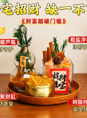 家居入户门招财聚财装饰玄关摆件