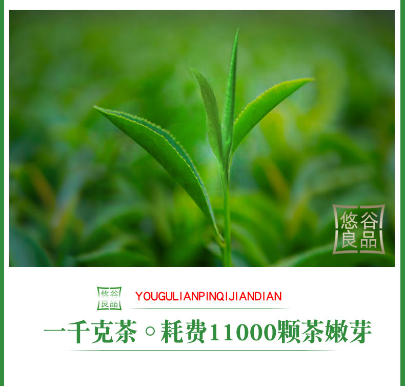 悠谷良品碧螺春绿茶2022新茶叶明前浓香型毛尖茶叶嫩芽罐装半斤