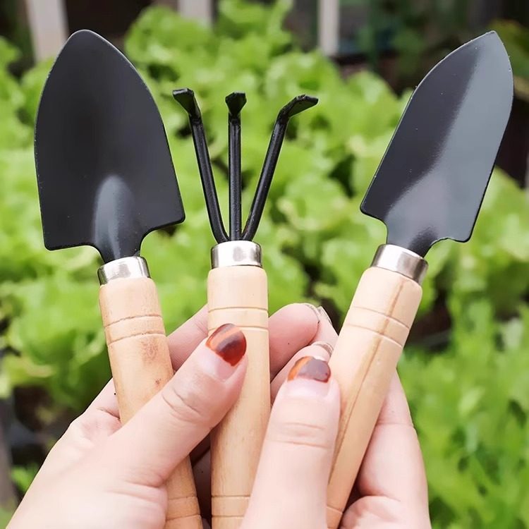 花园种植小工具种菜养花松土种植工具园艺套园艺铲子三件套,淘宝优惠券,粉丝福利购,淘宝优惠卷