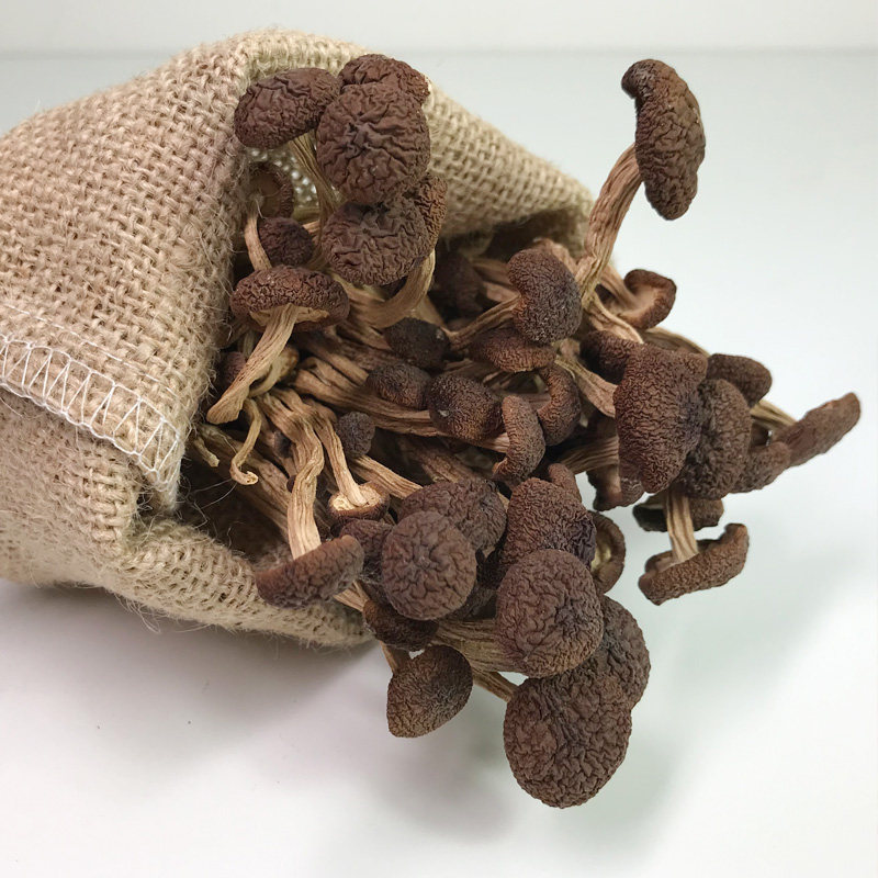 新货茶树菇不开伞500g井冈香菇干货剪跟短茶薪菇江西农家特产1斤,淘宝优惠券,粉丝福利购,淘宝优惠卷