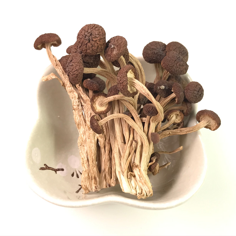 新货茶树菇不开伞500g井冈香菇干货剪跟短茶薪菇江西农家特产1斤,淘宝优惠券,粉丝福利购,淘宝优惠卷