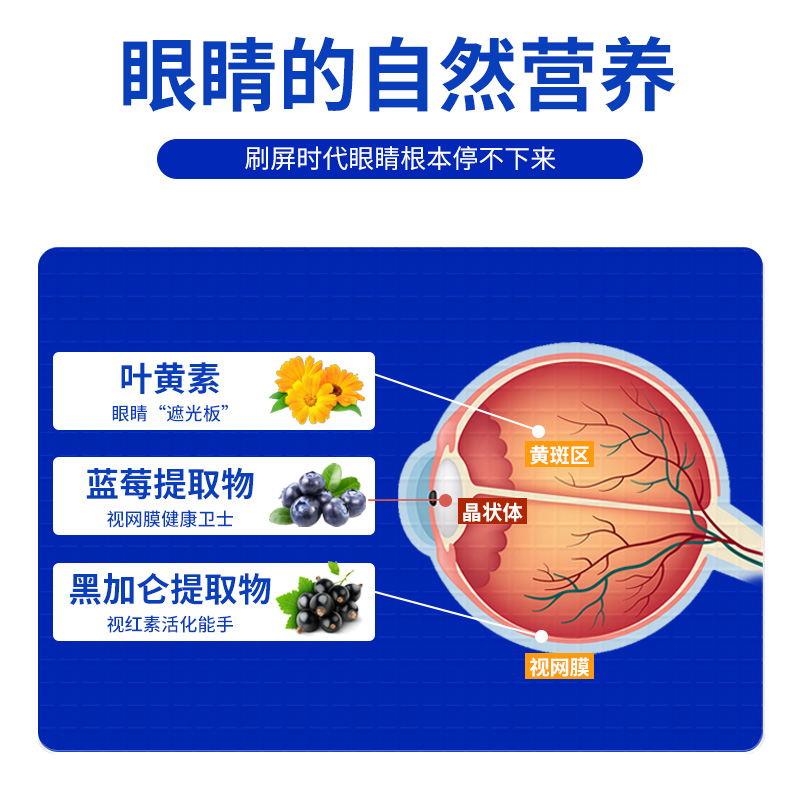 蓝莓叶黄素酯片官方旗舰店正品儿童成人中老年不专利护近视软糖眼 - 图1