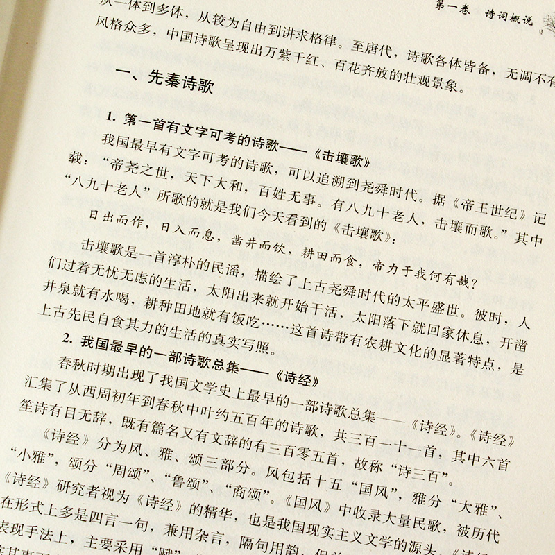 诗词格律全集教程手册精装典藏版概要与创作十讲简捷入门经典著作诗歌入门导读诗律词律文学艺术中国古诗词畅-图3