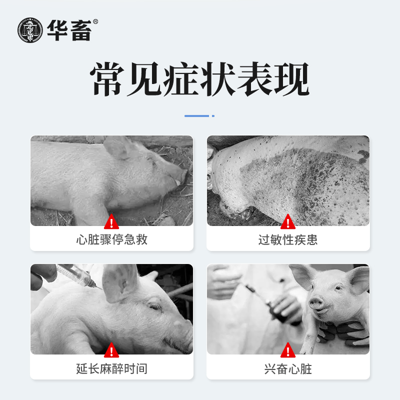 华畜盐酸肾上腺素兽药急救针兽用强心针马牛羊猪用注射激素应激药 - 图1