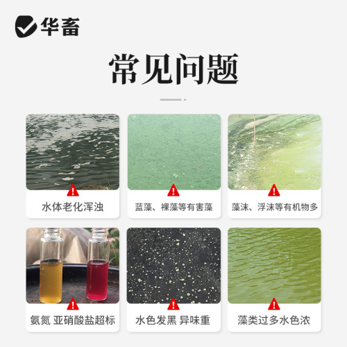 华畜复合芽孢杆菌菌种水产养殖专用原种菌粉虾蟹塘活菌em益生菌X - 图1