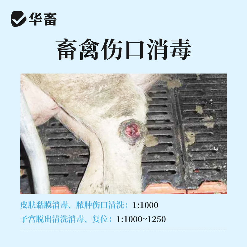 商品详情图片
