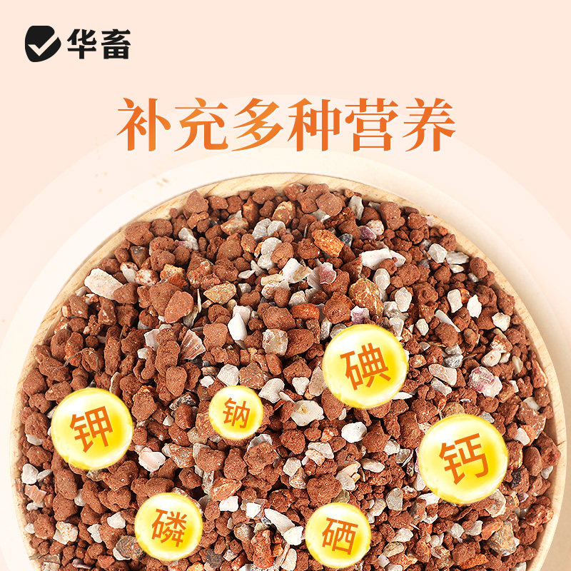 华畜保健砂鸽子专用保健沙颗粒高钙营养红土鹦鹉食粮赛鸽信鸽鸟粮,淘宝优惠券,粉丝福利购,淘宝优惠卷