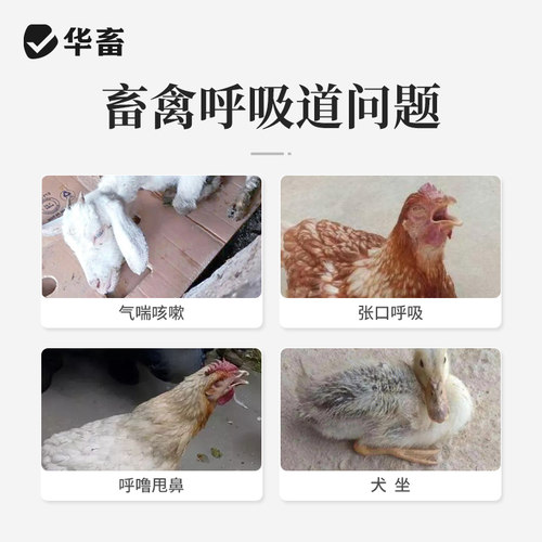 华畜顺呼4斤宣肺化痰兽用开胃增食 鸡鸭鹅兔牛羊猪预混料呼吸道 - 图0