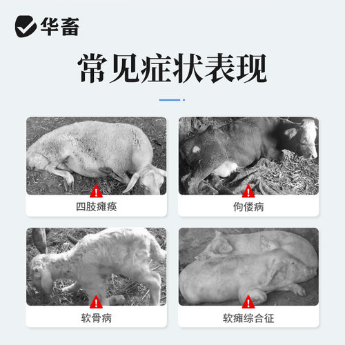 华畜兽药维生素d2注射剂维丁胶性钙针剂兽用猪牛羊产后瘫痪软骨症 - 图1