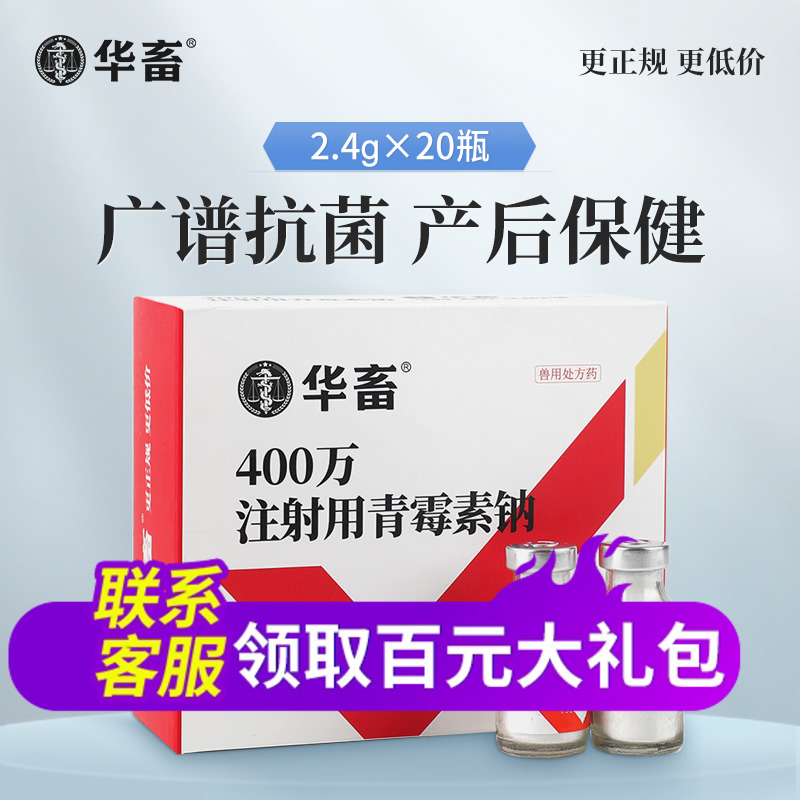 华畜兽药青霉素兽用400万单位注射用青霉素钠猪用牛羊药消炎正品 - 图0