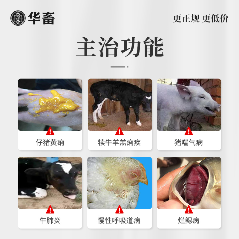 华畜土霉素药片兽用乌龟水族鱼药鸡鸭鹅猫咪狗狗羊腹泻养鸡专用药 - 图0