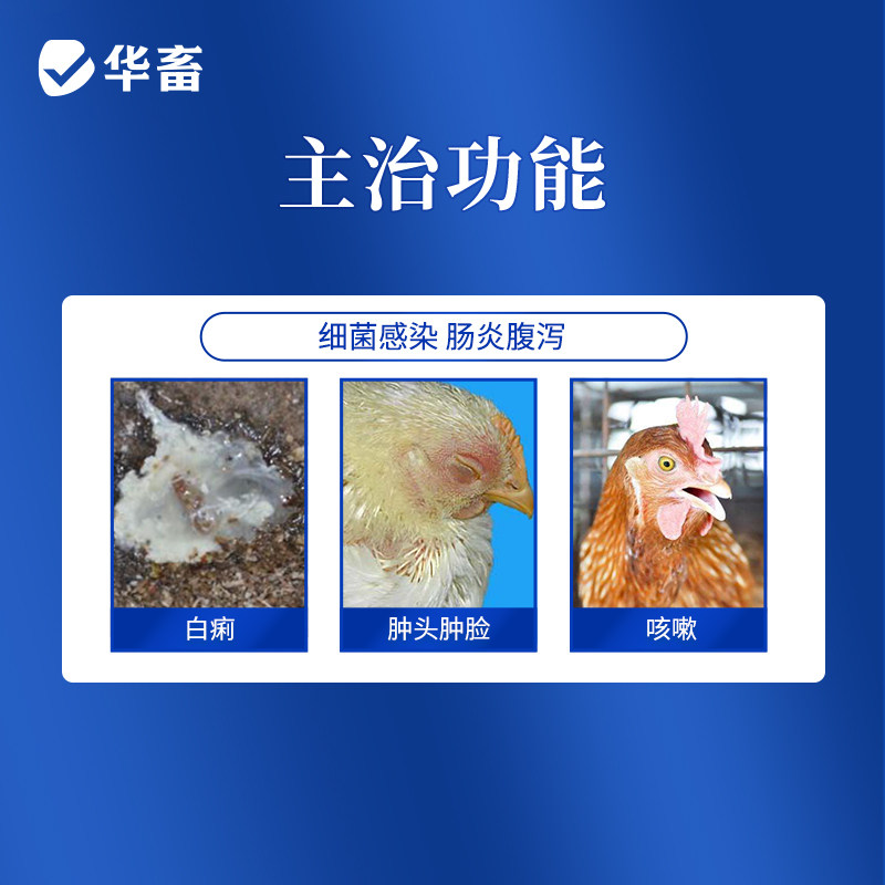 华畜兽药阿莫西林片兽用正品鸡药宠物猫狗鸡用白痢拉稀感冒消炎片,淘宝优惠券,粉丝福利购,淘宝优惠卷