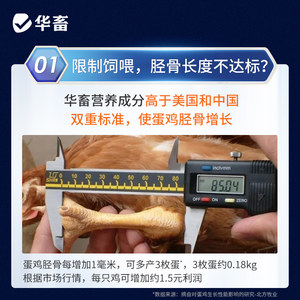 华畜5%蛋鸡预混料育成期产蛋期母鸡预混料产蛋饲料鸡下蛋专用饲料