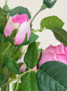 轻奢紫色仿真花奥斯汀玫瑰花月季手感保湿花客厅插花摆件家居装饰