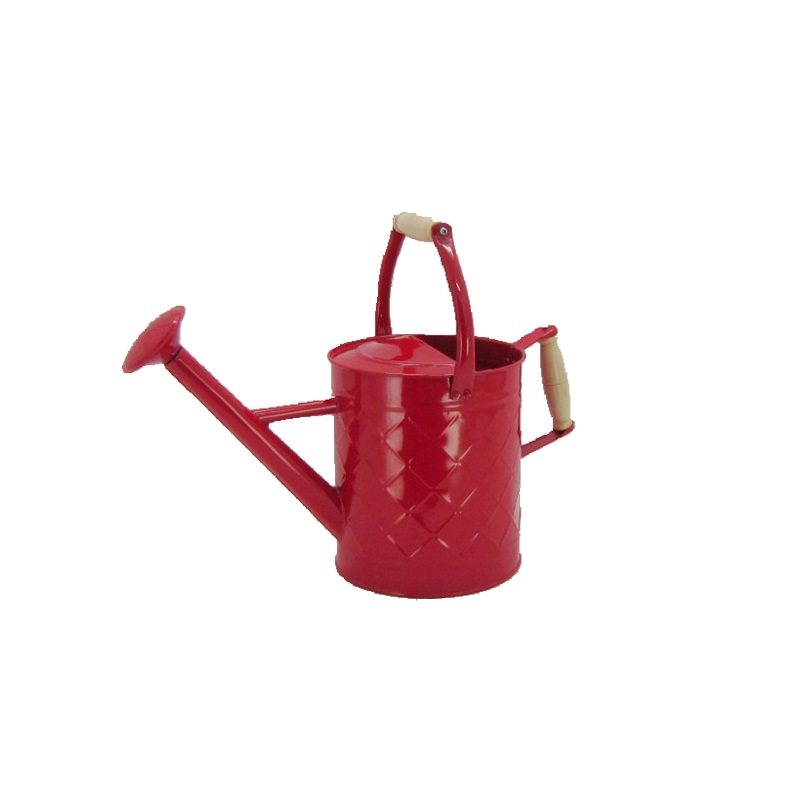 出口铁质彩色浇花壶活动花洒淋花壶浇水壶木柄把手两用洒水壶3.5L,淘宝优惠券,粉丝福利购,淘宝优惠卷