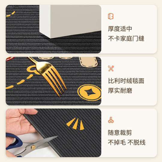 Entrance door floor mats and carpets