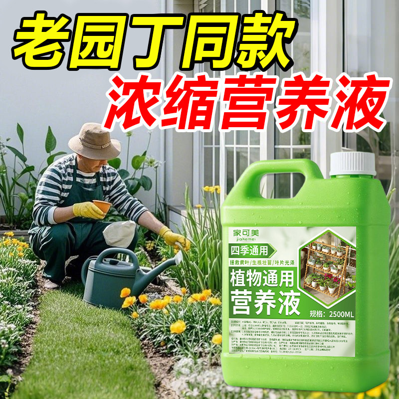 植物营养液通用型家用养花卉绿萝水培绿植多肉盆栽发财树液体肥の - 图3