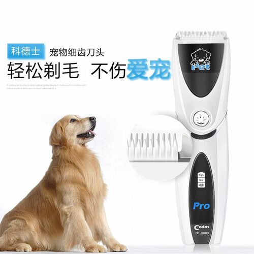 科德士宠物电推剪狗狗猫咪剃毛器剪泰迪毛神器专业宠物店专用8000 - 图0