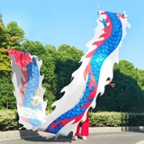 Новая фитнес -дракон танцевальная лента Dragon Play Dragon Полный набор среднеквадратичных и пожилых рук. Драконка Dragon Dance Dragon Ribbon Fitness Dragon