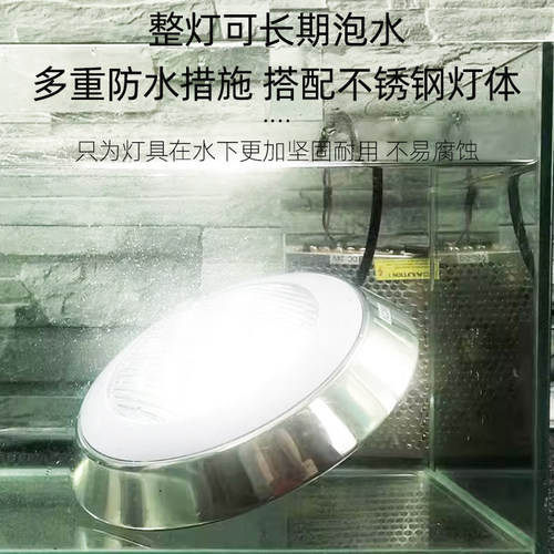 泳池灯水下壁灯水底灯led防水射灯12V24V挂壁式游泳池照明专用灯 - 图3