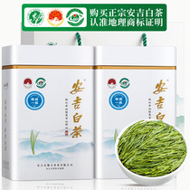 Authentic Angeybai Tea 2023 New Tea Level Ming Green Tea Rare White Tea Bulk Canned Tea Gift Box Dress