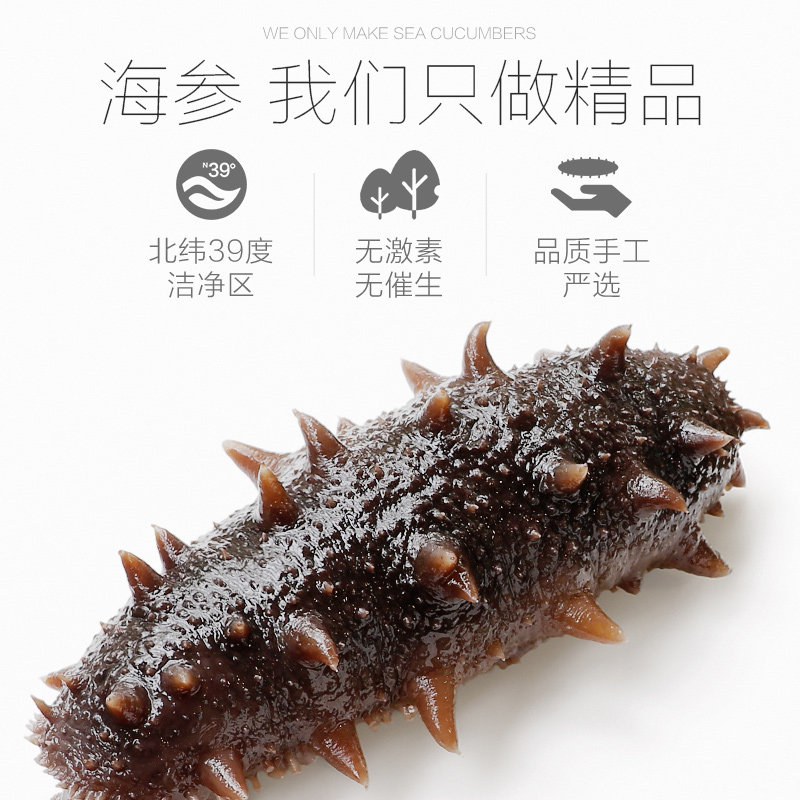 久年7a大连淡250g海生旗舰店辽参 久年海参