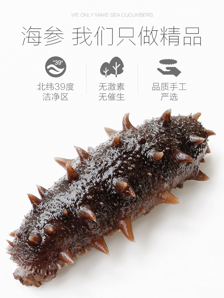 久年9a大连淡干海参50g野生辽刺参 久年海参