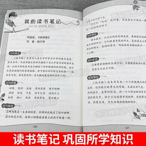 带刺的朋友三年级上册必读的课外书童年四季全集全套4册经典书目小学生3年级上学期语文阅读书籍宗介华著北京教育出版社