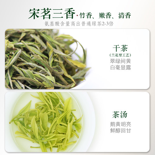 2026新茶上市安吉白茶宋茗雨前特级散装100g正宗绿茶白茶茶叶 - 图0