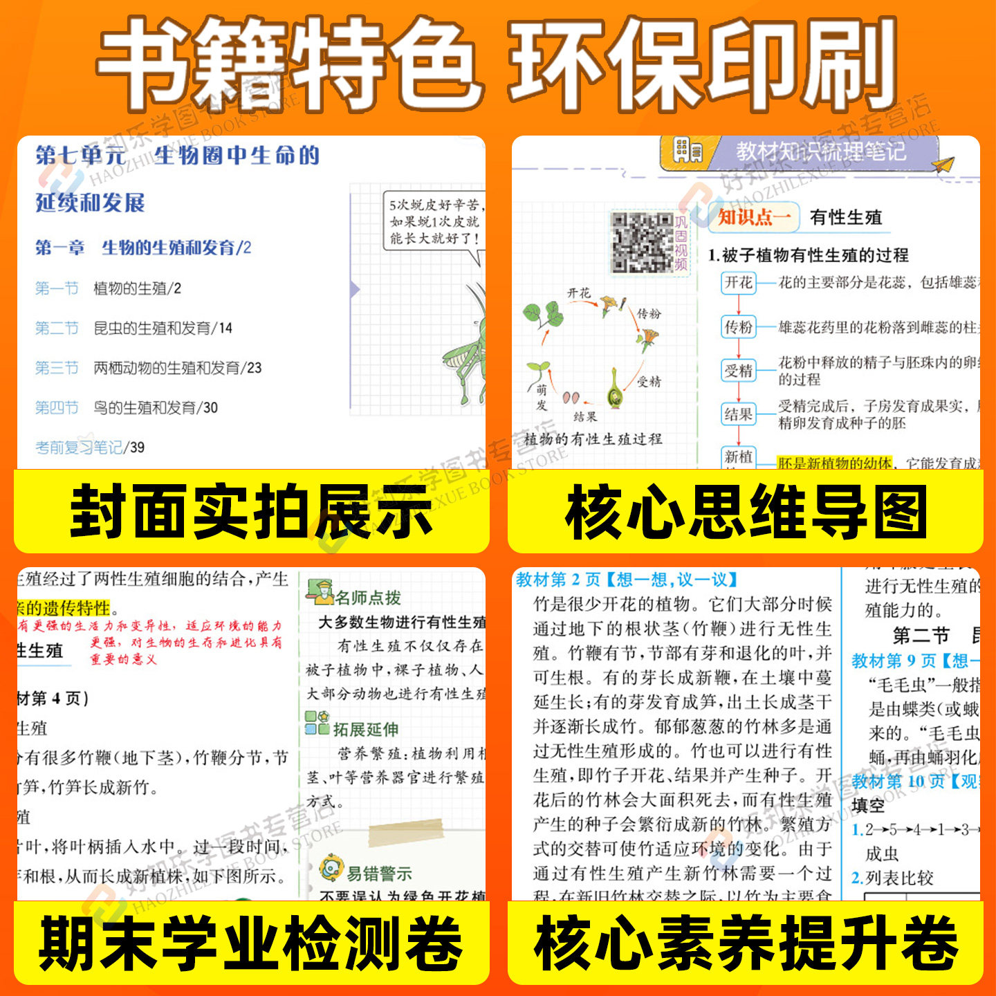 2026海淀单元测试AB卷八年级上数学化学物理七九年级下册语文英语政治历史地理人教北师789上同步试卷全套测试ab初中卷子非常海淀