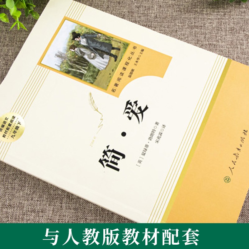 儒林外史简爱书籍正版原著九年级9下册必读世界文学名著课外书原版无删减青少年版人民教育出版社初三初中生我是猫围城格列佛游记-图0