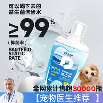 Playful pooch mouthwash drinking to remove mouth smells pet kitty Tooth Stones Clean Teeth Water Cat Mouth Clean