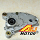 ATV four-wheel off-road Jinlang 300cc engine