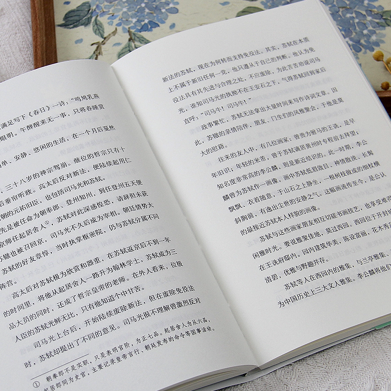正版人生有解苏东坡王海侠著中国人心中的千古风流人物用苏东坡戒掉你的精神内耗收录苏东坡代表性诗词文作品双封裸脊设计人物传记
