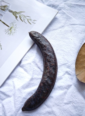 【皂荚果】天然植物种子标本森系复古幼儿园diy手工材料装饰画