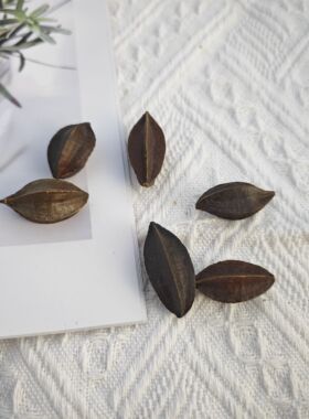 圣诞节松果干果装饰摆件diy材料