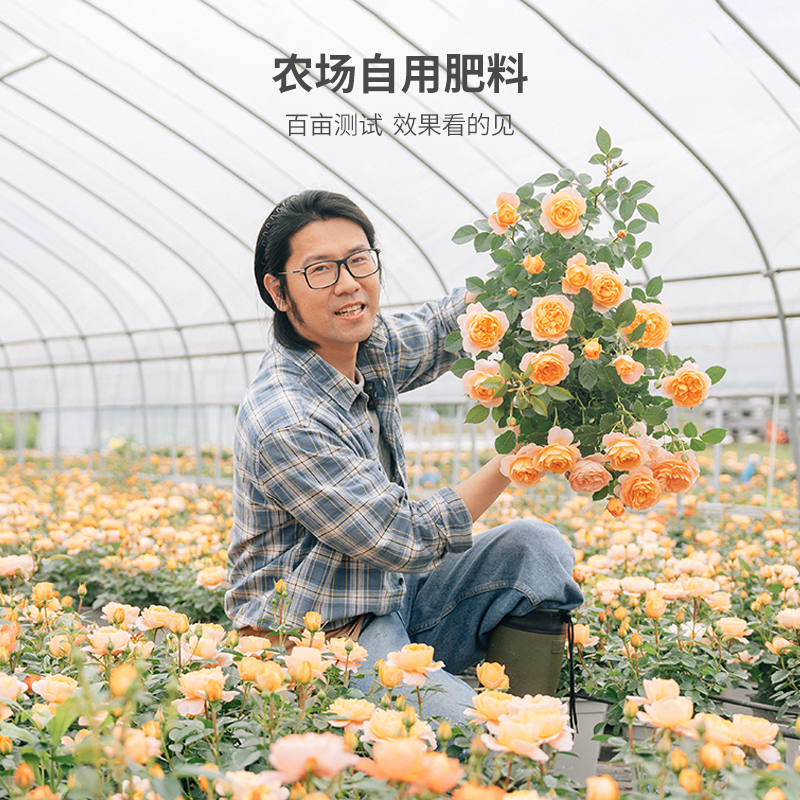 塔莎的花园 控释肥定制缓释肥基肥底肥追肥促植物生长开花 - 图2