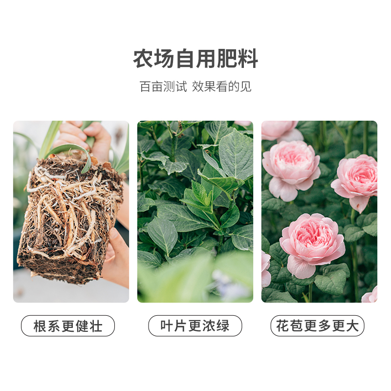 塔莎的花园 控释肥定制缓释肥基肥底肥追肥促植物生长开花 - 图0