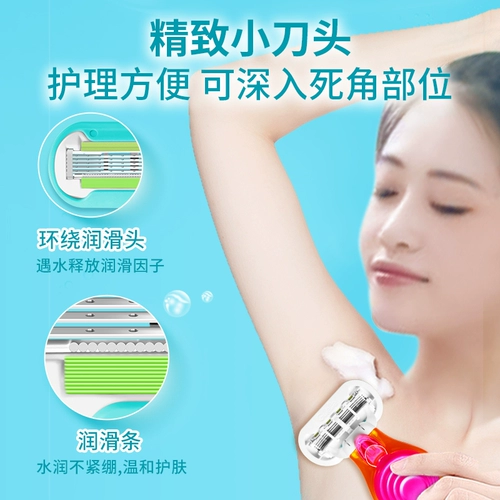 Гиллар Венера Венера Цзяо Dot Little Shell Scrape Ms.