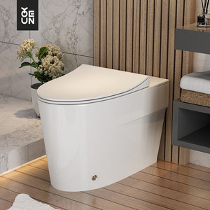 佑恩卫浴无水箱马桶 小户型普通非智能家用抽水静音虹吸式坐便器