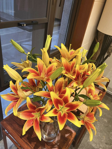 （黑宝石）亚百合高级黑红色花瓣油画质感花苞小巧家庭办公水养 - 图3