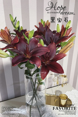 （黑宝石）亚百合高级黑红色花瓣油画质感花苞小巧家庭办公水养 - 图0