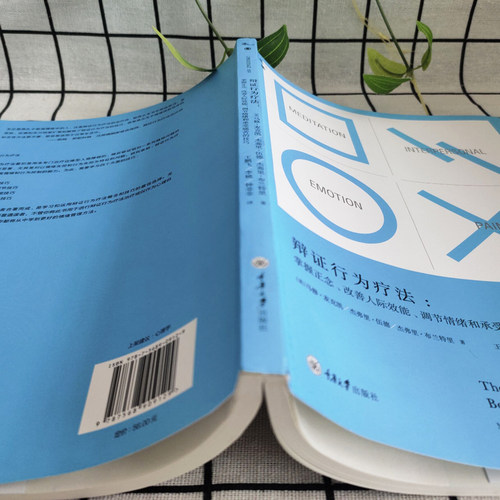 辩证行为疗法掌握正念改善人际效能调节情绪和承受痛苦的技巧马修麦克凯心理自助人际沟通情绪治疗技巧入门心理治愈-图2