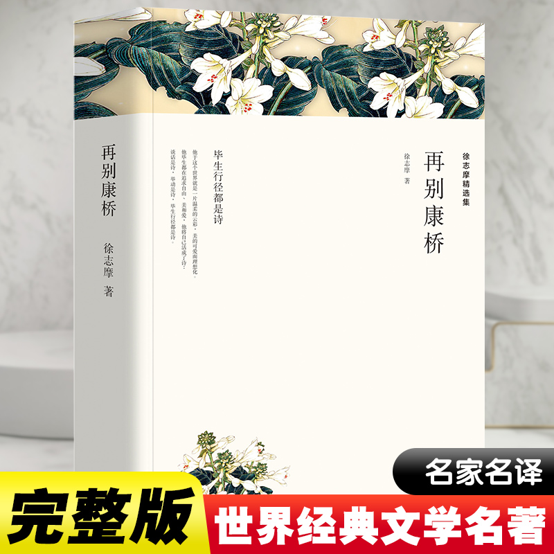 再别康桥 徐志摩精选集 徐志摩 著 现代/当代文学文学 新华文轩书店旗舰店官网正版图书书籍畅销书 中国文联出版社