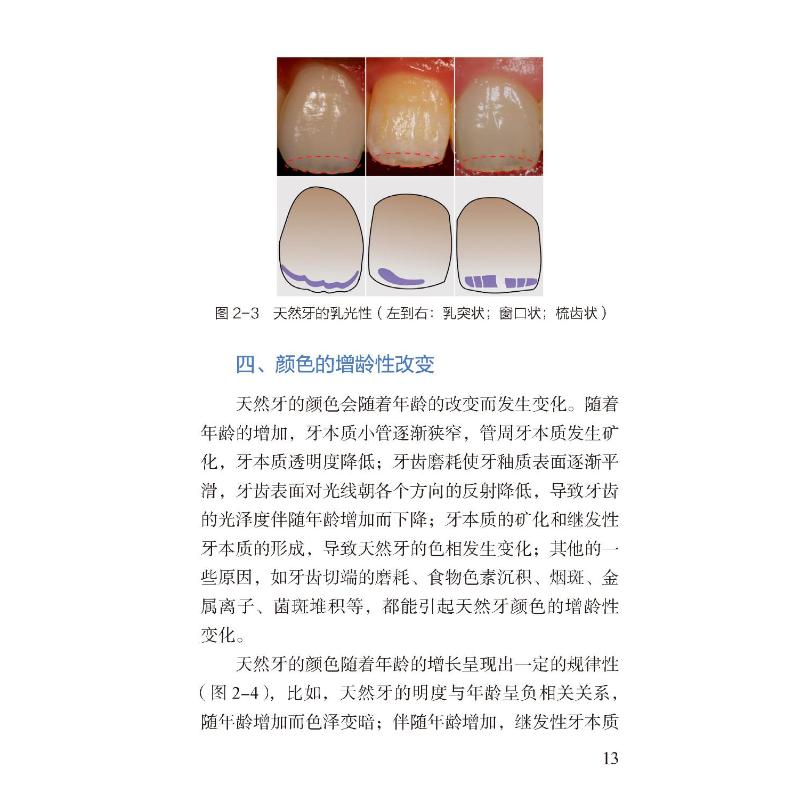 牙科比色操作手册 王剑 编 口腔科学生活 新华书店正版图书籍 中国医药科技出版社 - 图0